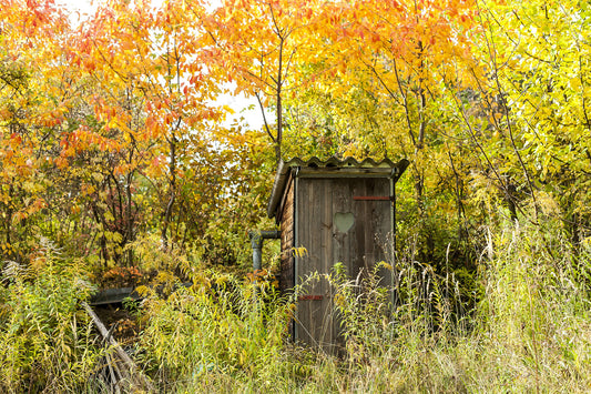 Ontario’s ugliest cottage toilet gets an upgrade with Cinderella