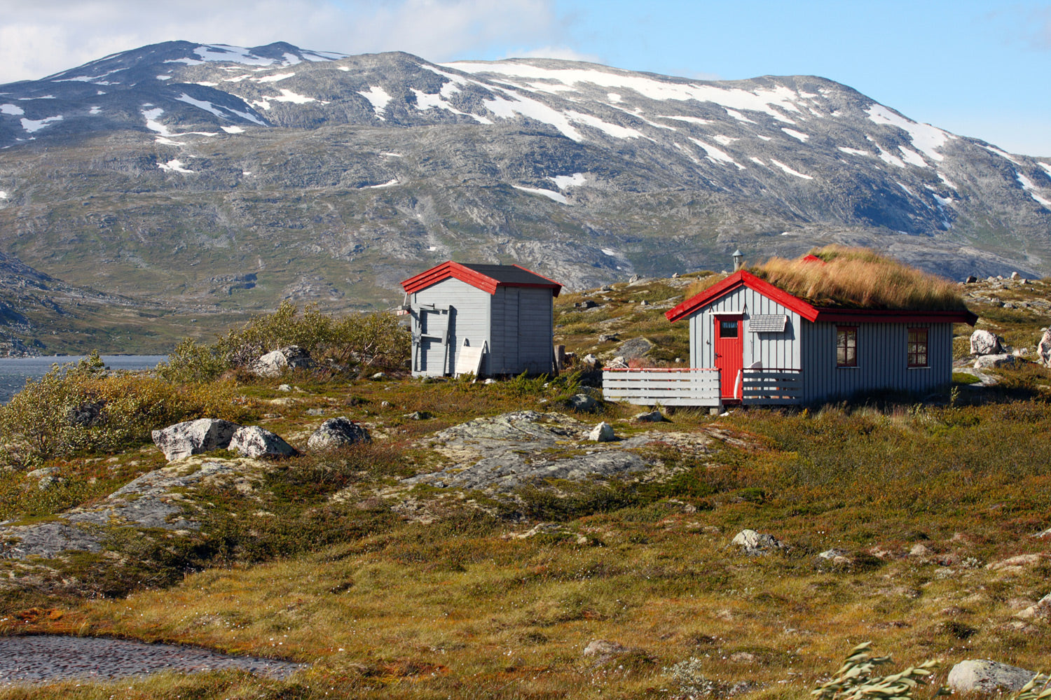 Netzunabhängiges Leben mit Cinderella Freedom