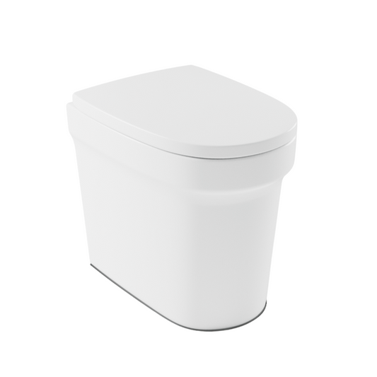 Cinderella Urinal on a white background