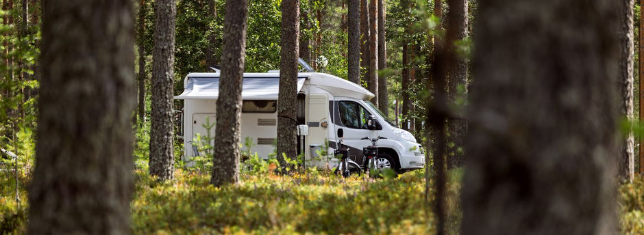 RV parked in a lush forest. 