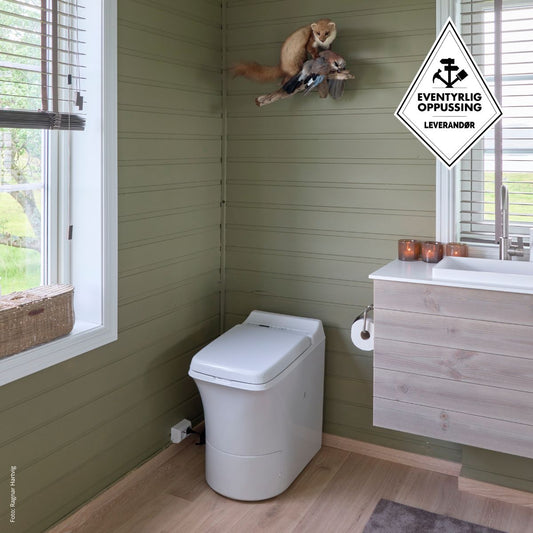 Cuarto de baño con paredes verdes, un inodoroFreedom  Cinderella Freedom y un mueble con lavabo.