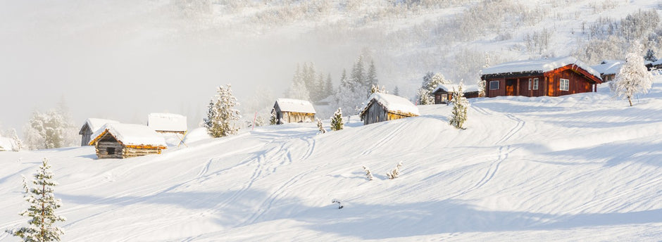 Paysage enneigé avec des chalets en bois et des arbres dans une région montagneuse