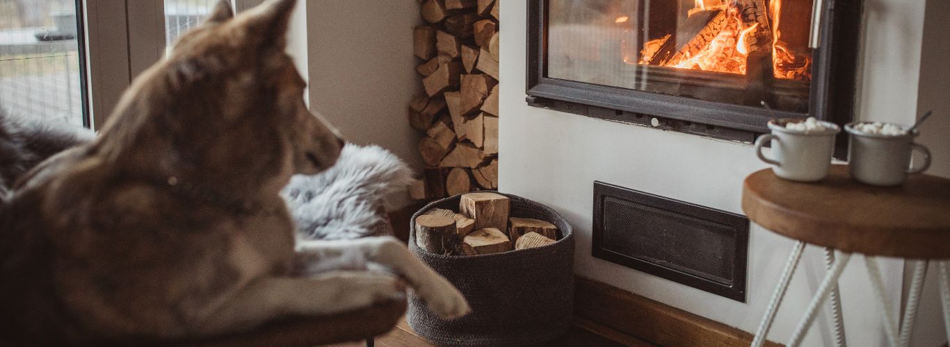 Cinderella Kampanjer 2025